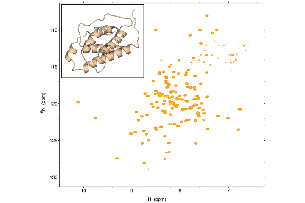 NMR