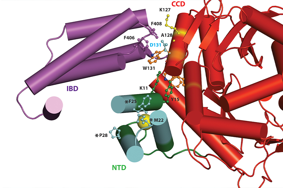 cryo-EM and cryo-ET banner
