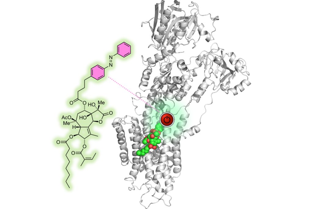 Chemical Biology
