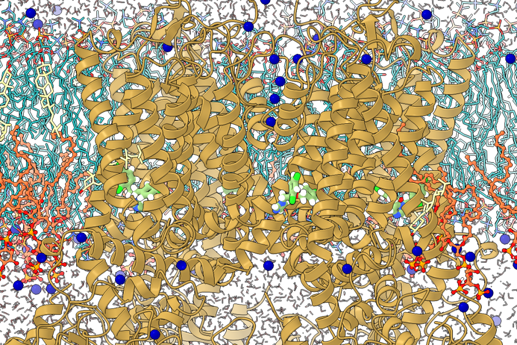 Protein folding banner computational biology