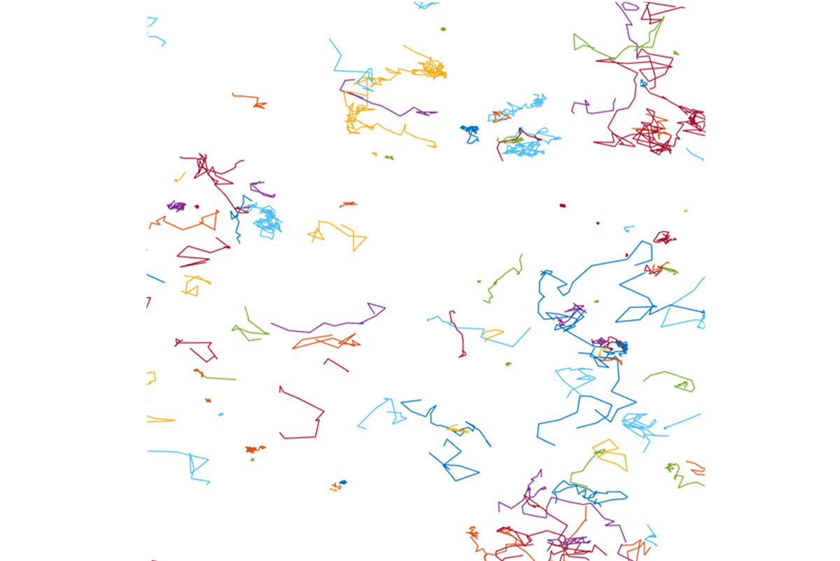 Single molecule bannner